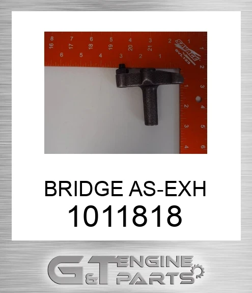 1011818 BRIDGE AS-EXH