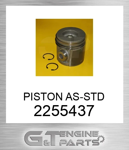 2255437 PISTON AS-STD