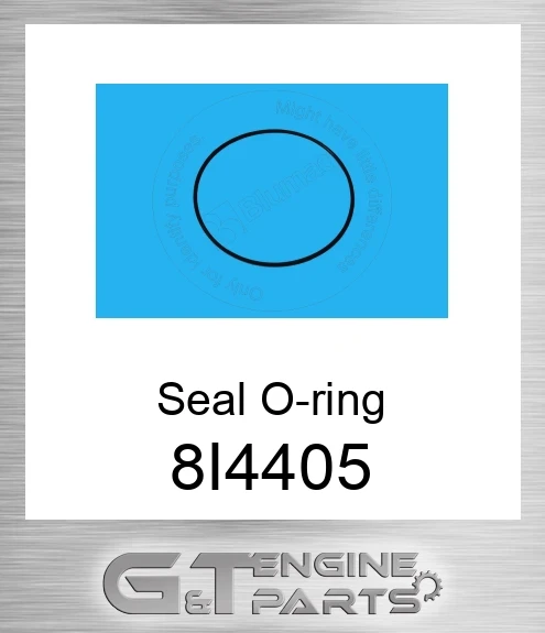8I-4405 Seal O-ring