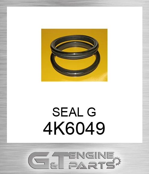 4K6049 Seal Group, Duo