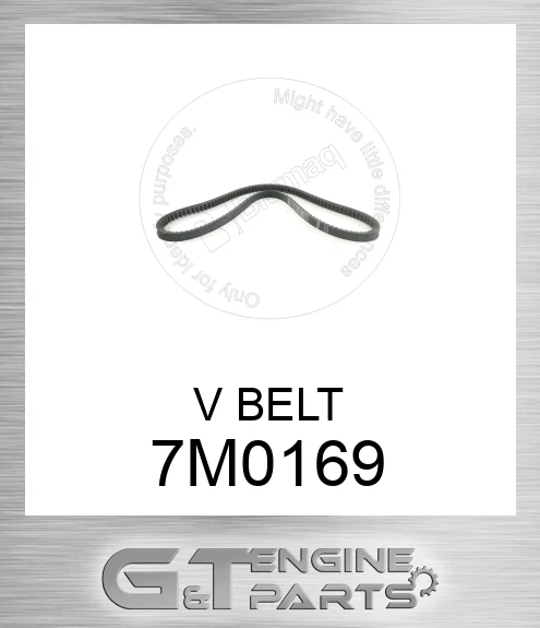 7M0169 Belt