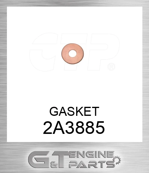 2A3885 GASKET