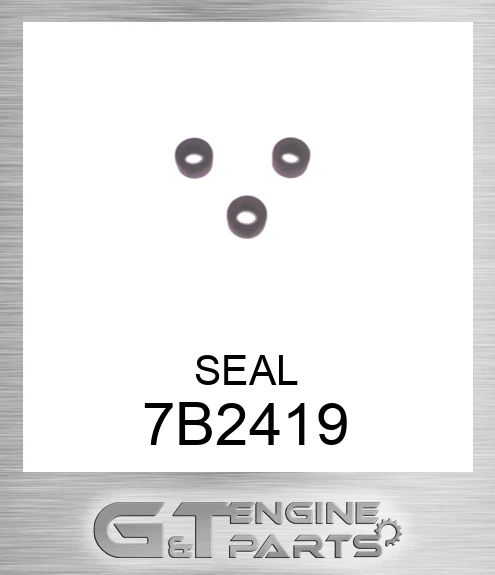 7B2419 SEAL