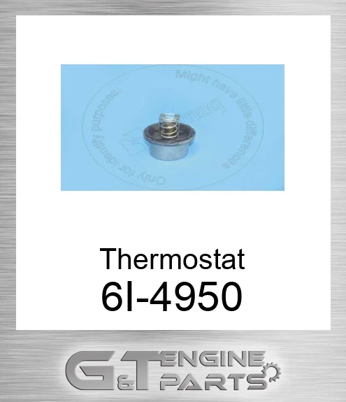 6I-4950 Thermostat
