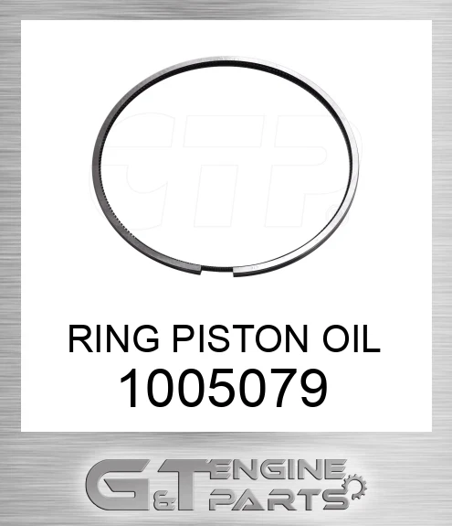1005079 RING PISTON OIL