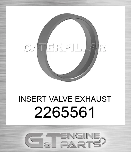 2265561 INSERT-VALVE EXHAUST