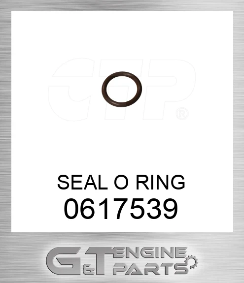 0617539 SEAL O RING