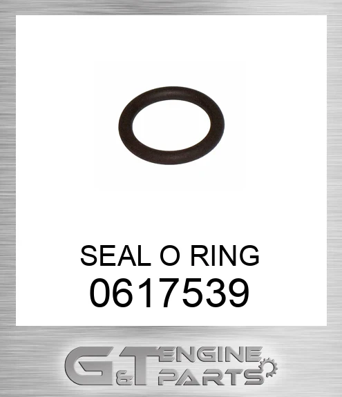 0617539 SEAL O RING