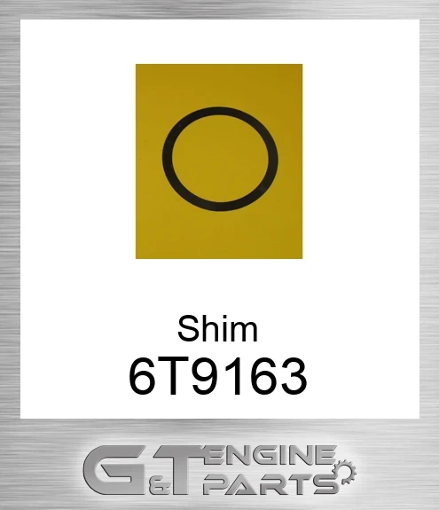 6T9163 Shim