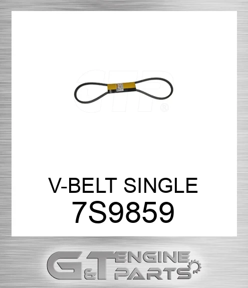 7S9859 V-BELT SINGLE