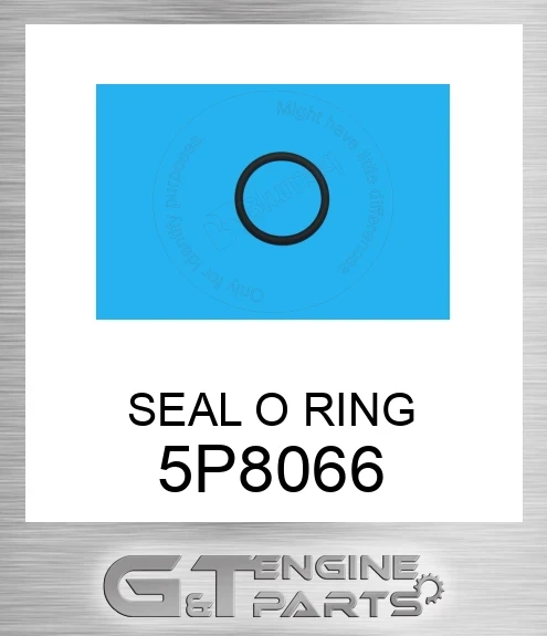 5P8066 SEAL O RING