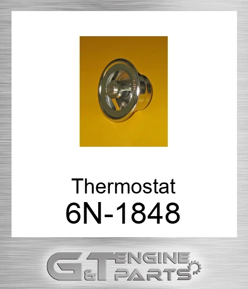 6N-1848 Thermostat