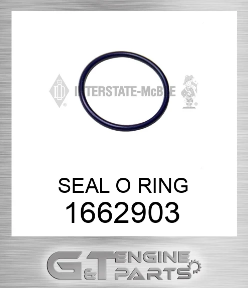 1662903 SEAL O RING
