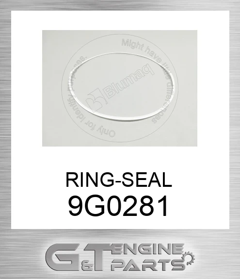 9G0281 RING-SEAL