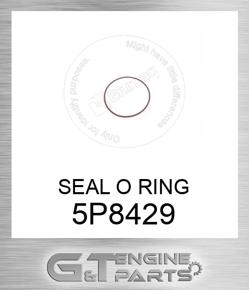 5P8429 SEAL O RING