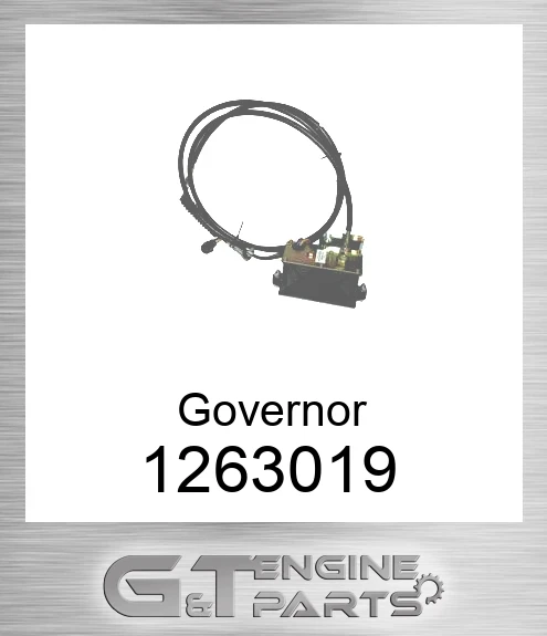 1263019 Governor