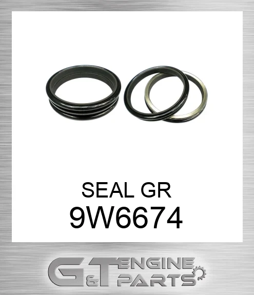 9W6674 SEAL GR