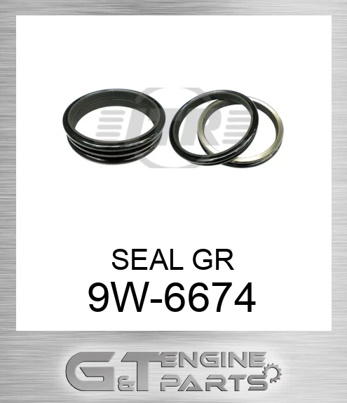 9W6674 SEAL GR