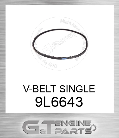 9L6643 V-BELT SINGLE