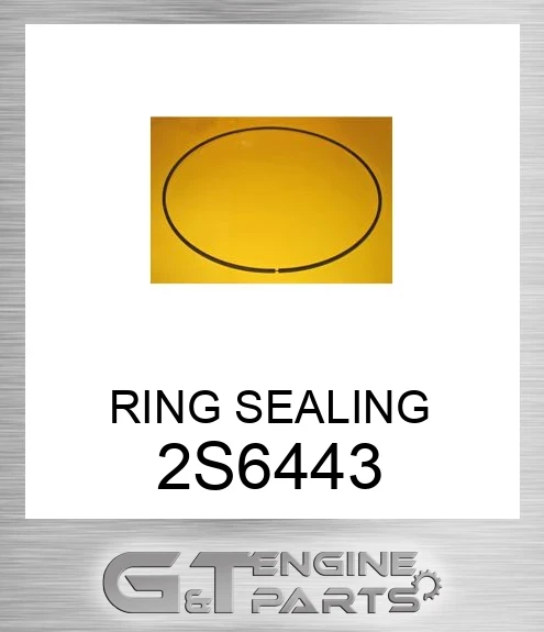 2S6443 RING SEALING