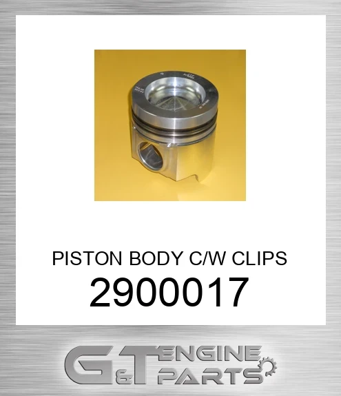 290-0017 PISTON BODY C/W CLIPS