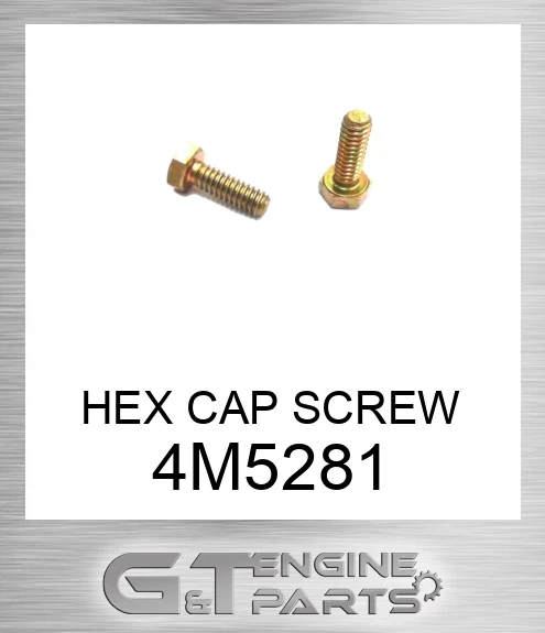 4M5281 HEX CAP SCREW