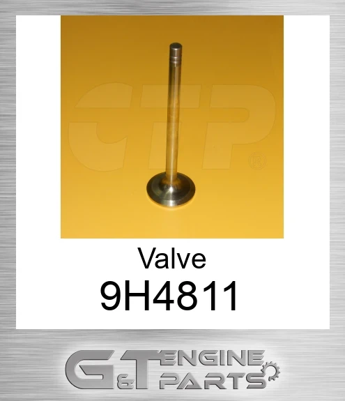 9H4811 Valve