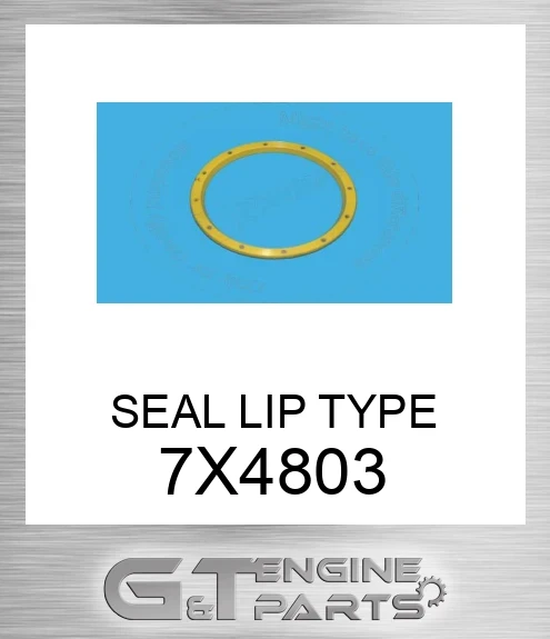 7X4803 SEAL LIP TYPE