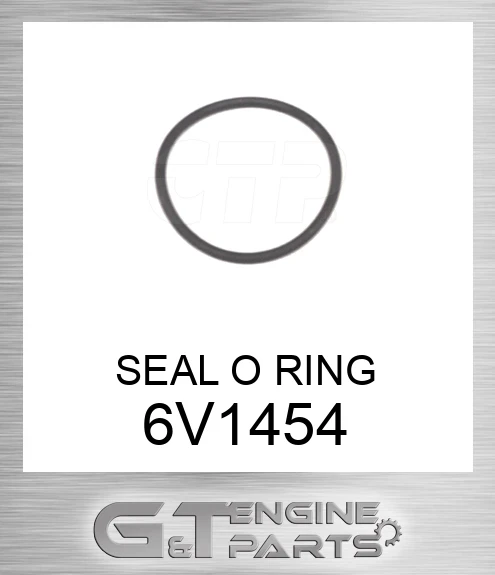 6V1454 SEAL O RING
