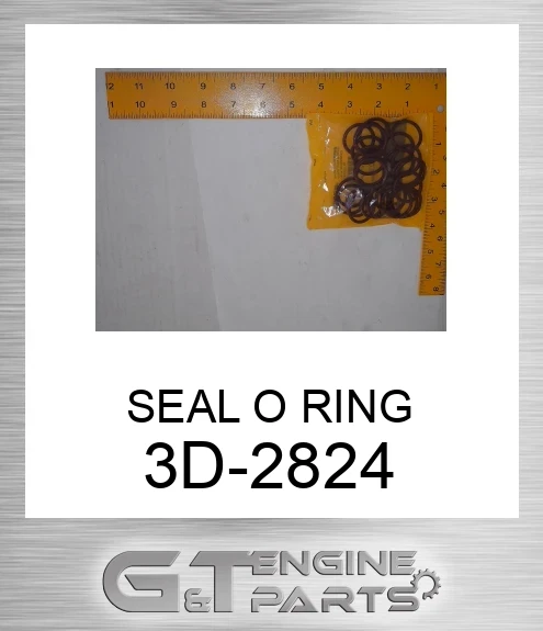 3D2824 SEAL O RING