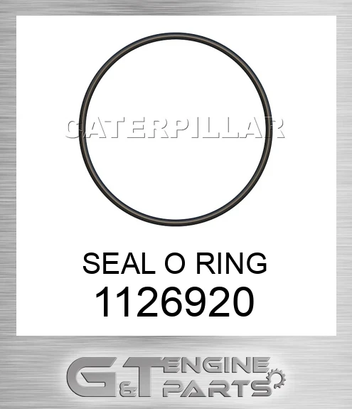 1126920 SEAL O RING