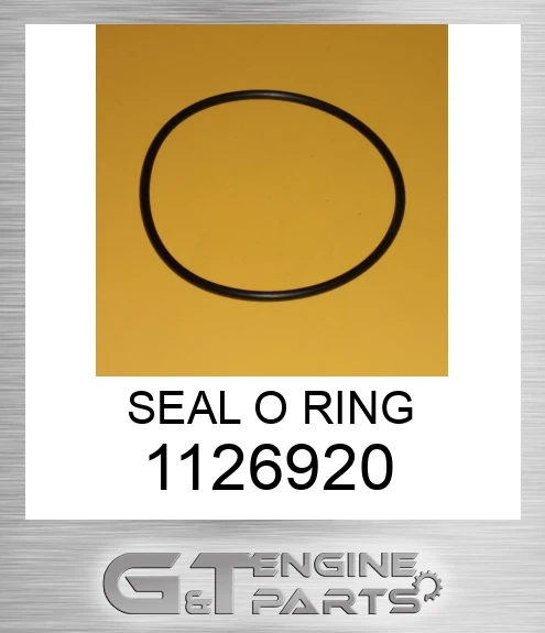 1126920 SEAL O RING