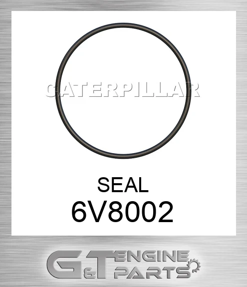 6V8002 SEAL