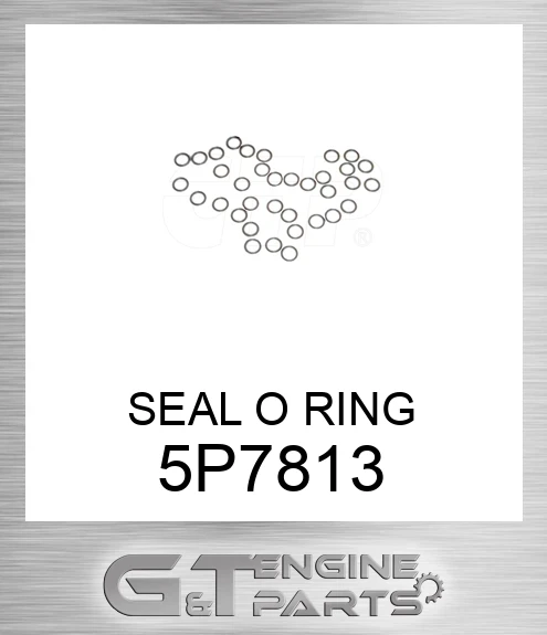 5P7813 SEAL O RING