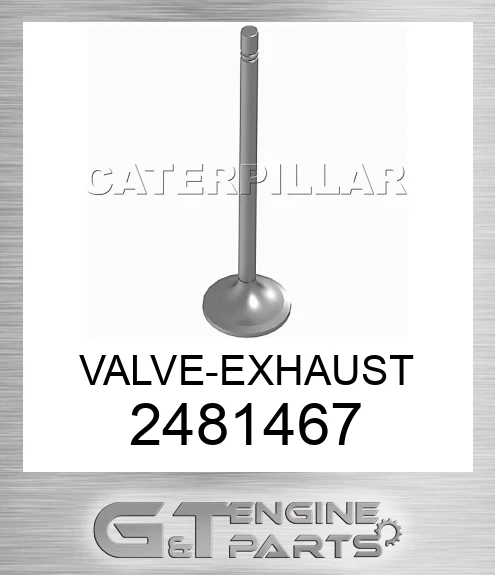 2481467 VALVE-EXHAUST