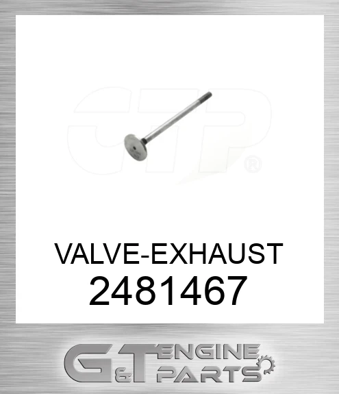 2481467 VALVE-EXHAUST