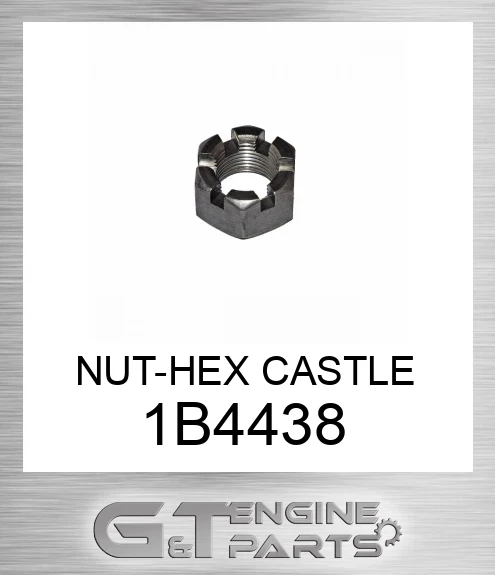 1B4438 NUT-HEX CASTLE