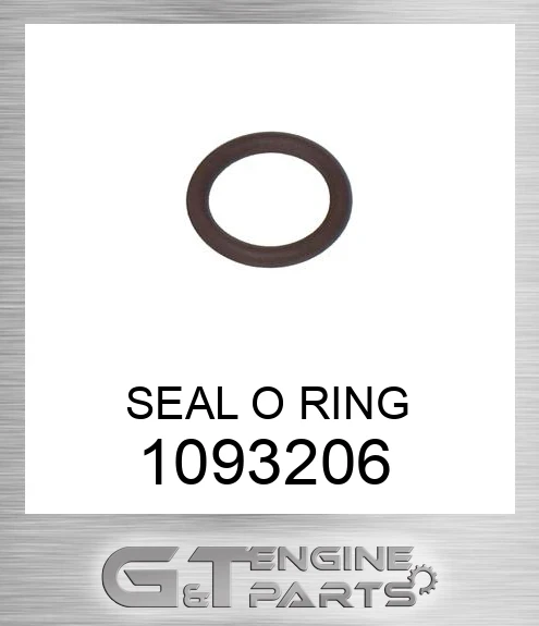 1093206 SEAL O RING