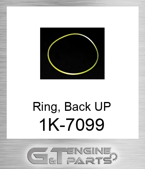1K-7099 Ring, Back UP