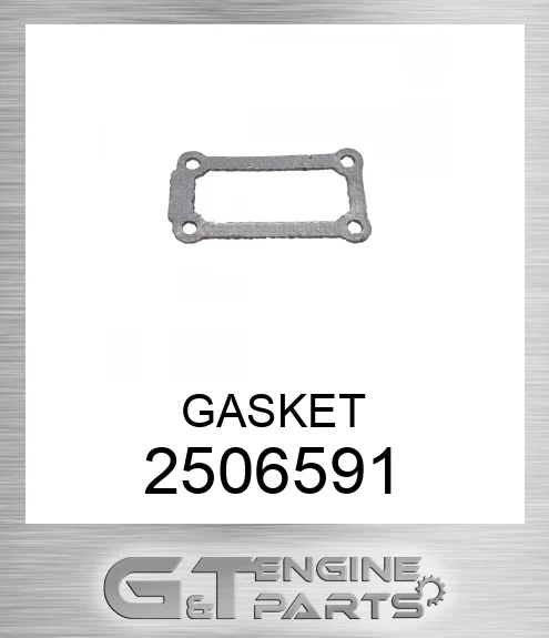250-6591 GASKET