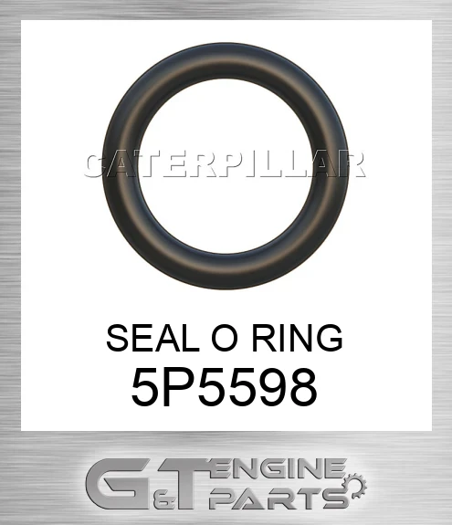5P5598 SEAL O RING