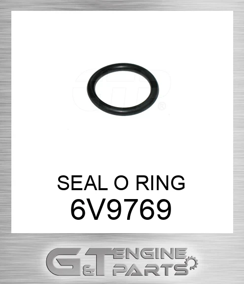 6V9769 SEAL O RING
