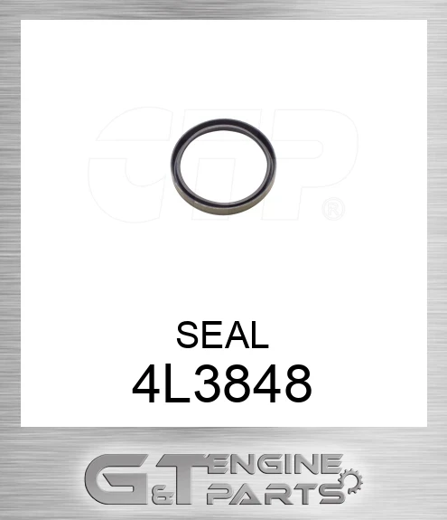 4L3848 SEAL