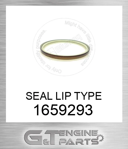 1659293 SEAL LIP TYPE