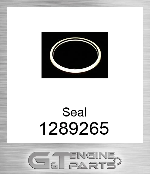 1289265 Seal