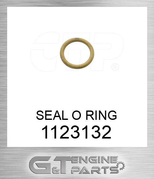 1123132 SEAL O RING