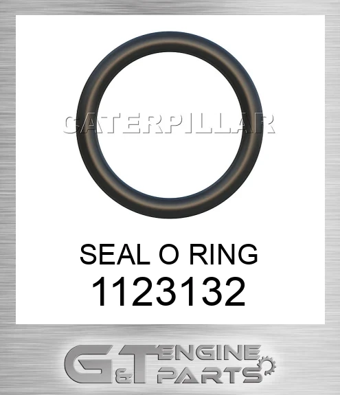 1123132 SEAL O RING