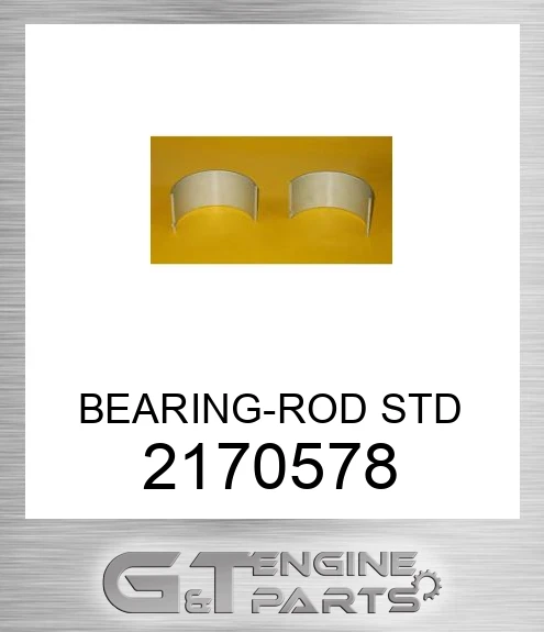 2170578 BEARING-ROD STD