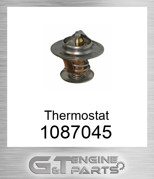 1087045 Thermostat