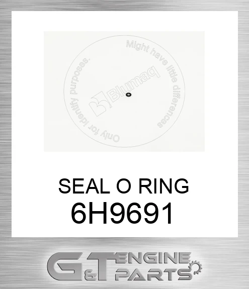 6H9691 SEAL O RING
